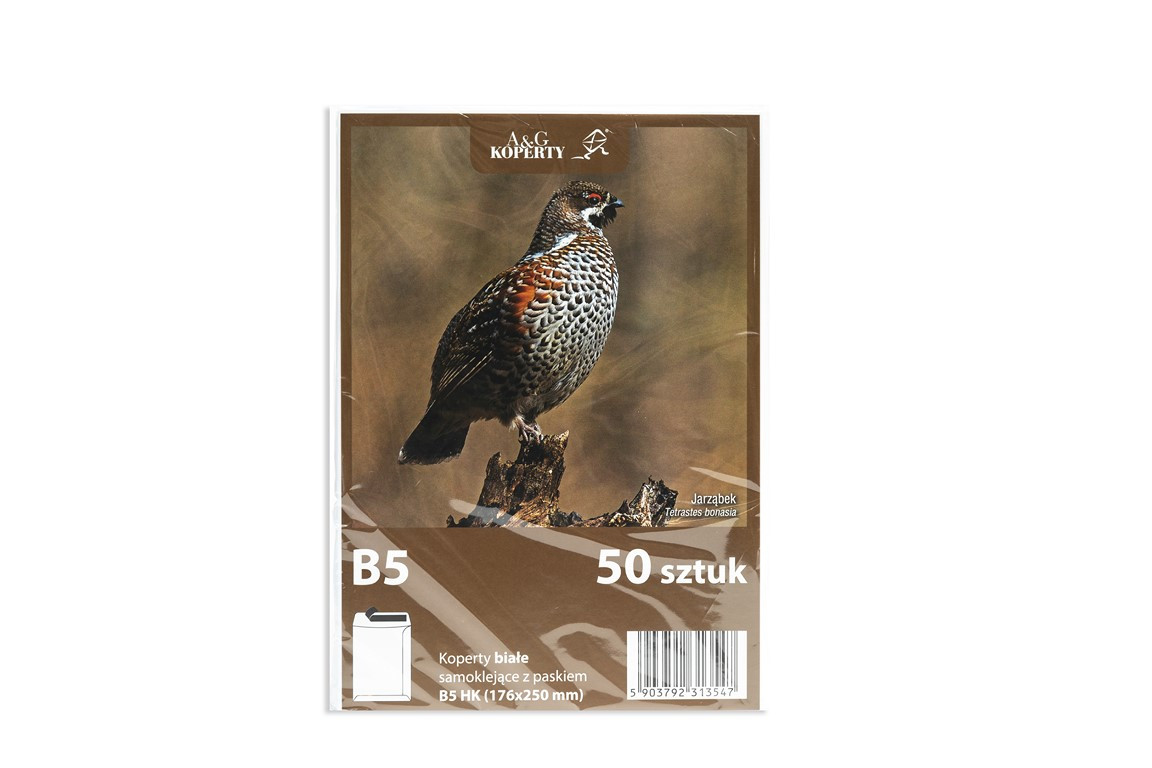 Koperta B5/50szt. HK biała